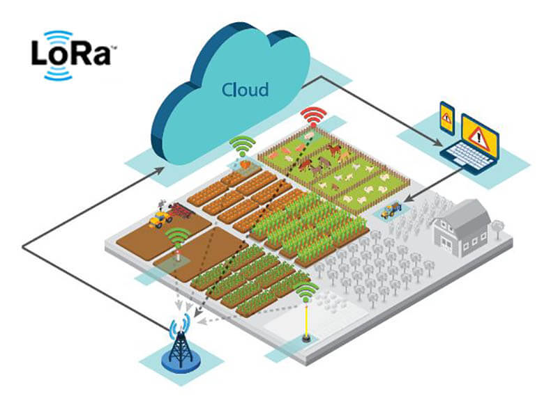 Neosmart - LoRa Smart Agriculture Solution